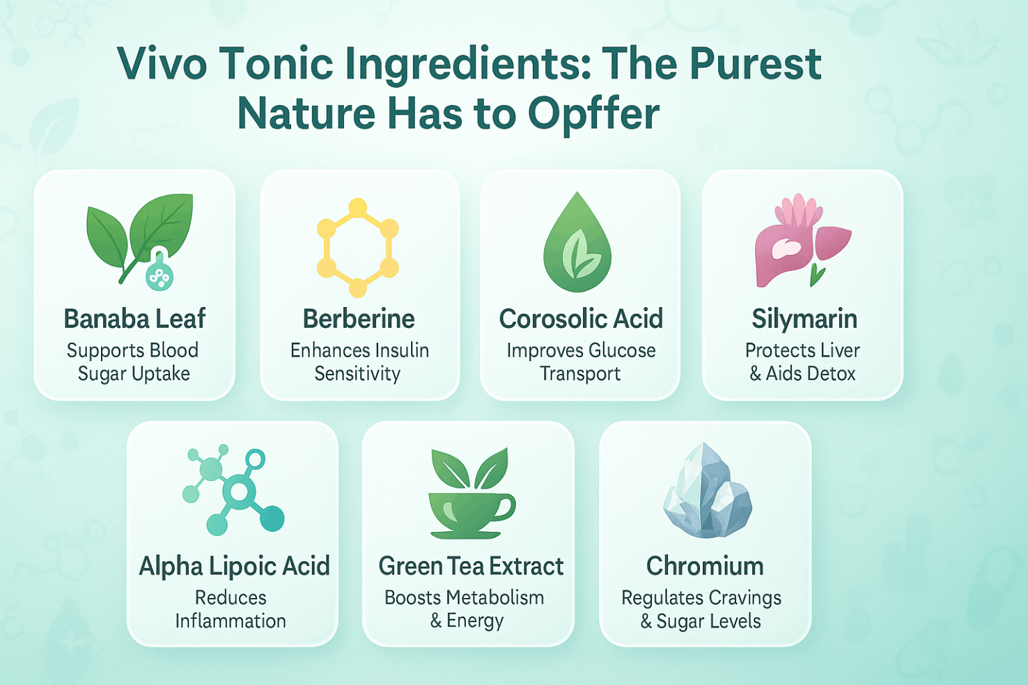 vivo-tonic-ingredients